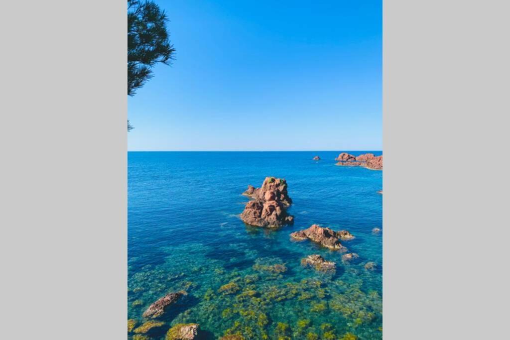 Superbe 4 Couchages Avec Terrasse - Clim - 50M De La Mer Saint-Raphaël Extérieur photo