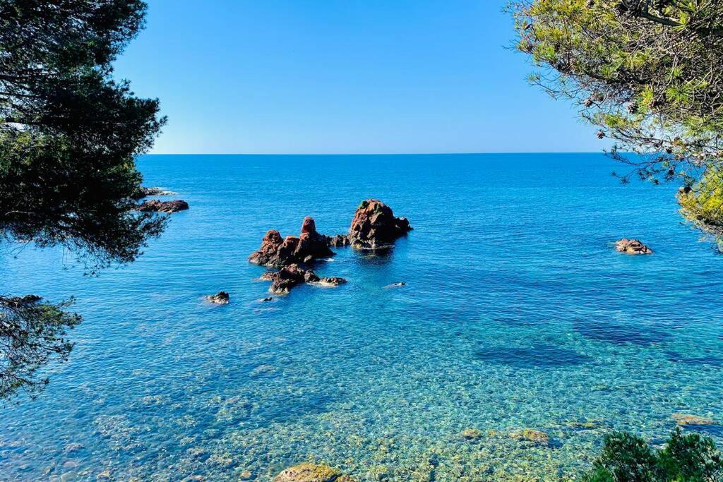 Superbe 4 Couchages Avec Terrasse - Clim - 50M De La Mer Saint-Raphaël Extérieur photo